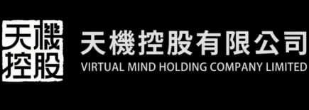 Virtual Minds Holding Company logo